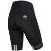 Picture of Endura Womens FS260 Waist Short